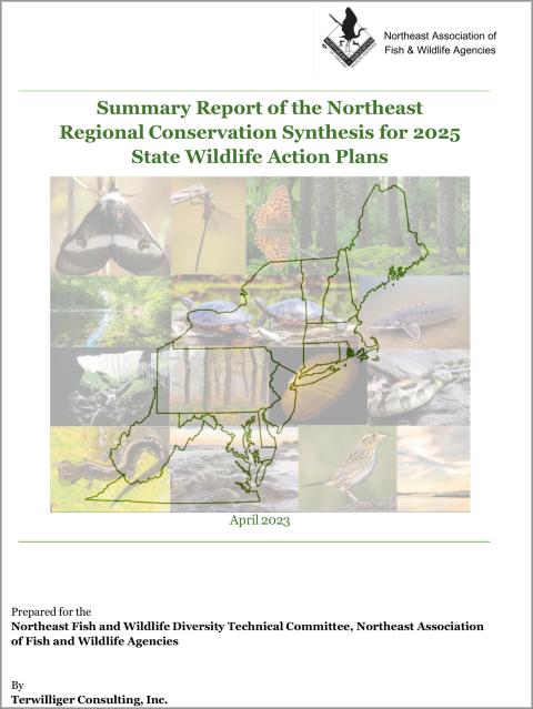Report cover for Summary Report of the Northeast Regional Conservation Synthesis for 2025 State Wildlife Action Plans, April 2023